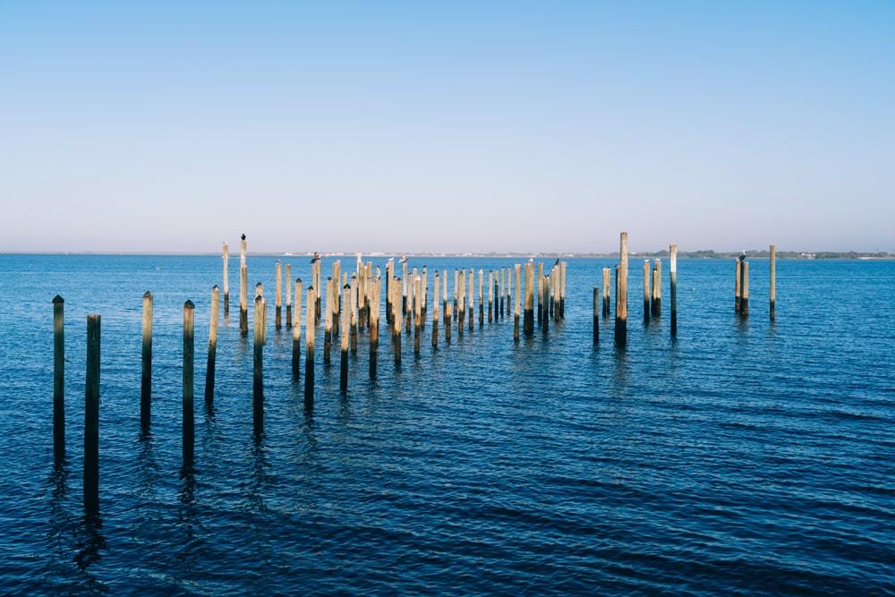 Wooden pier posts on shoreline of Port Charlotte, Florida