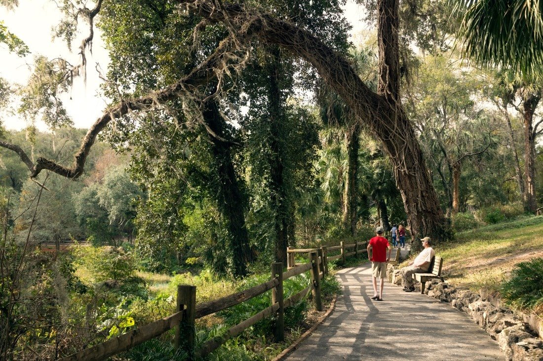 People walking along a beautiful hiking trail in Florida