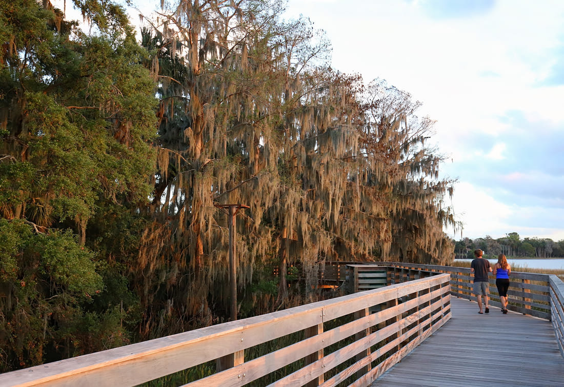 Boardwalk in a park in Mont Dora, Florida