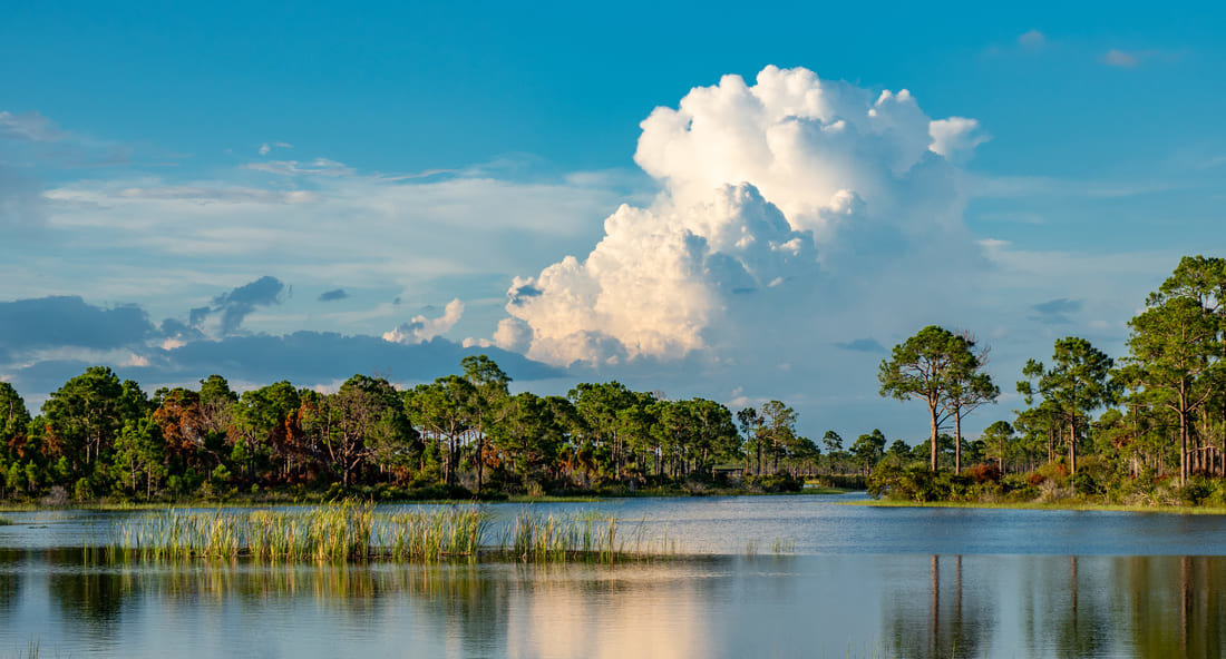 Clouds over the Babcock-Webb Wildlife Management Area in Punta Gorda, Florida.