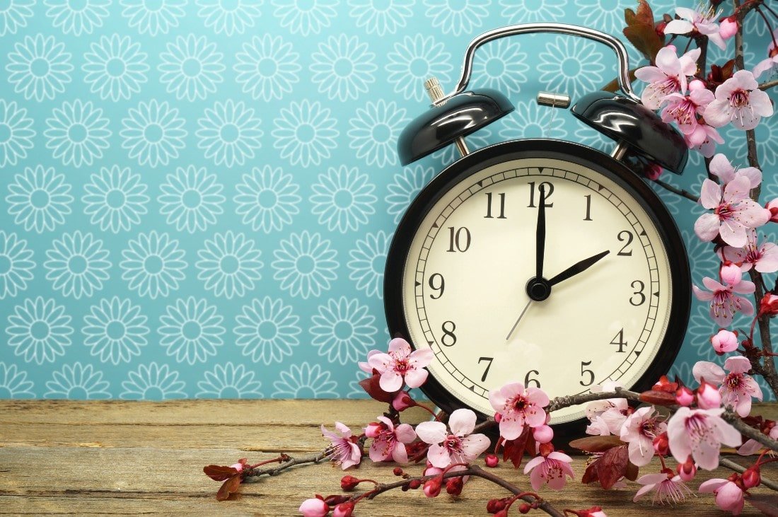 Clock against a teal background with spring blossoms in front